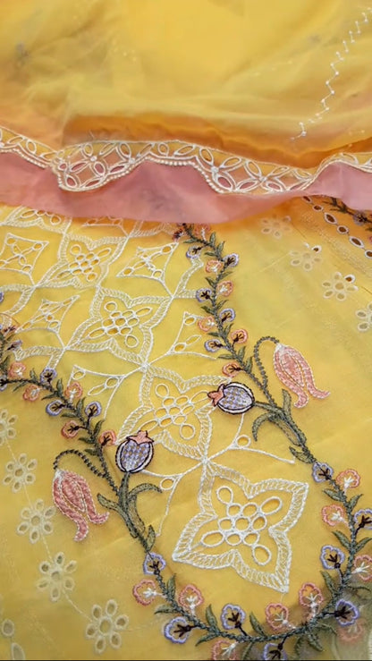 Aneelas Luxury Lawn New Article 3pc (Unstitched)
